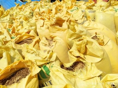 Damaged Stock of Poultry Feed